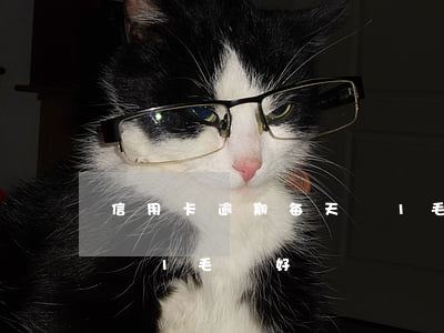 信用卡逾期每天還1毛錢-信用卡逾期每天還1毛錢好嗎