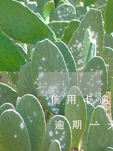 信用卡逾期每天還一點(diǎn)(信用卡 逾期一天)
