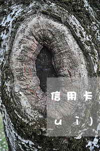 信用卡逾期每天還一點(diǎn)會(huì)怎么樣嗎-信用卡逾期每天還一點(diǎn)會(huì)怎么樣嗎知乎