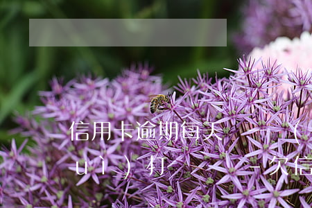 信用卡逾期每天還一點(diǎn)會(huì)打電話嗎-欠信用卡逾期每個(gè)月還一點(diǎn)會(huì)立案嗎