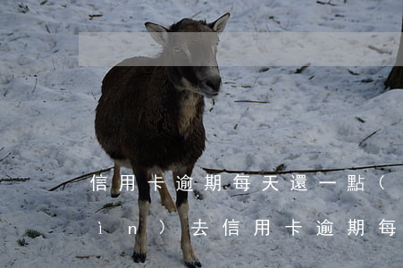 信用卡逾期每天還一點(diǎn)進(jìn)去(信用卡逾期每天還一點(diǎn)進(jìn)去有用嗎)
