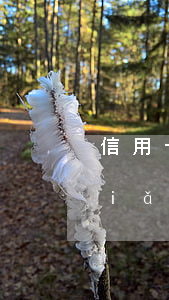 信用卡逾期每天還一點(diǎn)點(diǎn)(信用卡逾期每天還一點(diǎn)點(diǎn))