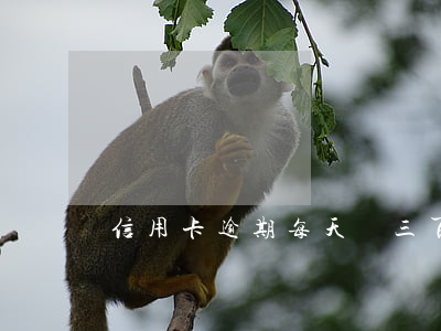 信用卡逾期每天還三百(信用卡逾期三萬)