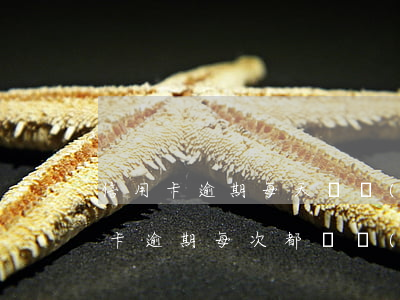 信用卡逾期每天還點(diǎn)行嗎(信用卡逾期每次都還點(diǎn)會(huì)怎么樣)