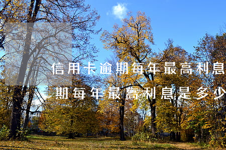 信用卡逾期每年最高利息是多少錢（信用卡逾期每年最高利息是多少）