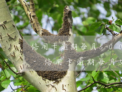 信用卡逾期每月500逾期費(fèi)用-信用卡逾期每月500逾期費(fèi)用多少