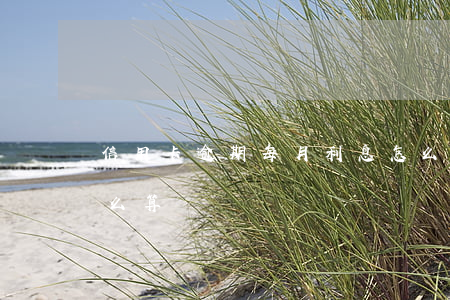 信用卡逾期每月利息怎么算(逾期利息時間怎么算)