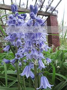 信用卡逾期每月只能还几十(信用卡5000逾期半年要还多少)