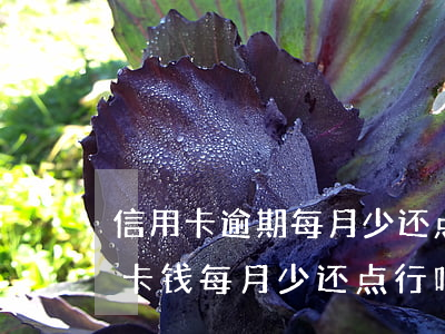 信用卡逾期每月少还点影响起诉不-欠信用卡钱每月少还点行吗
