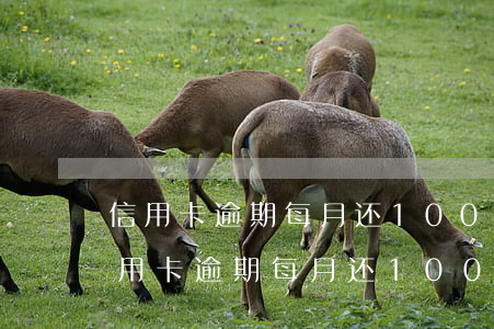 信用卡逾期每月还1000元会怎么样-信用卡逾期每月还1000元会怎么样吗