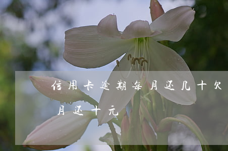 信用卡逾期每月还几十 欠信用卡逾期别怕每月还十元