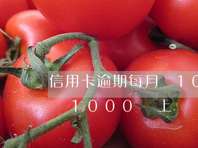 信用卡逾期每月還1000(信用卡逾期每月還1000會上門嗎)