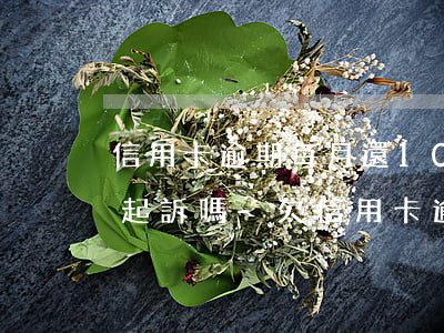 信用卡逾期每月還1000會(huì)被起訴嗎-欠信用卡逾期別怕每月還一千