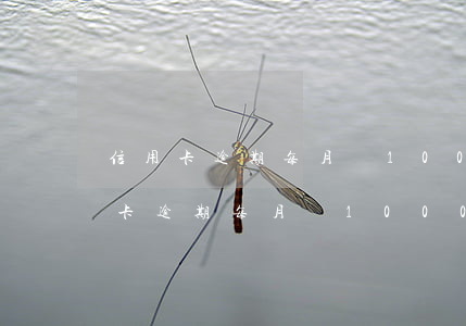 信用卡逾期每月還1000會上門嗎-信用卡逾期每月還1000會上門嗎是真的嗎