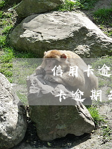 信用卡逾期每月還100塊錢可以嗎-信用卡逾期每月還100塊錢可以嗎知乎