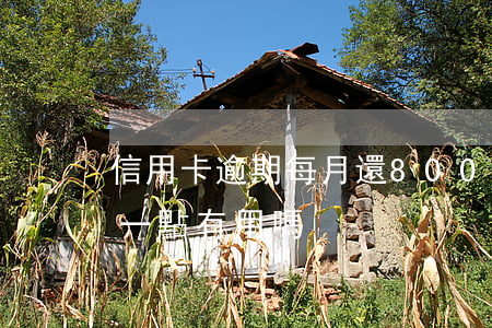 信用卡逾期每月還800(信用卡逾期每月還一點有用嗎)