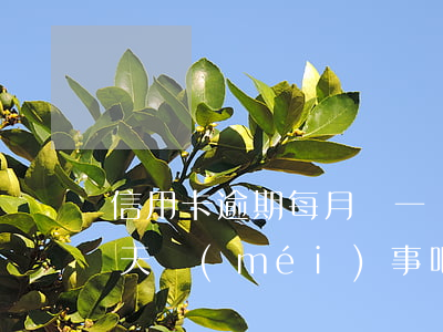 信用卡逾期每月還一塊兩塊(還信用卡逾期一天沒(méi)事吧)