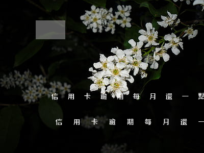 信用卡逾期每月還一點(diǎn)不行嗎(信用卡逾期每月還一點(diǎn)不行嗎會(huì)怎么樣)