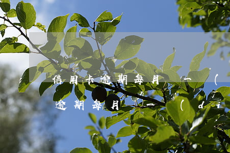 信用卡逾期每月還一點(diǎn)(信用卡逾期每月還一點(diǎn)屬于惡意透支非法占有嗎)