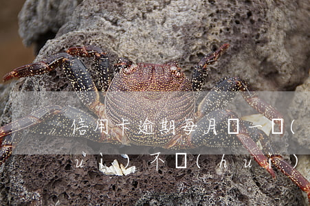 信用卡逾期每月還一點(diǎn)會(huì)不會(huì)上門(mén)-信用卡逾期每月還一點(diǎn)會(huì)不會(huì)上門(mén)催收