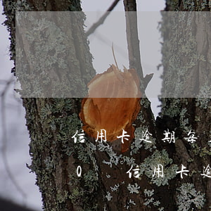 信用卡逾期每月還一點(diǎn)案例(10張信用卡逾期的后果)