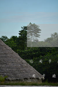 信用卡逾期每月還一點就不是惡意透支-信用卡逾期每月還一點就不是惡意透支嗎