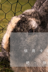 信用卡逾期每月還幾百不會(huì)起訴吧-信用卡逾期每月還幾百不會(huì)起訴吧嗎