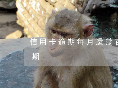 信用卡逾期每月還幾百可以(幾千塊信用卡逾期)
