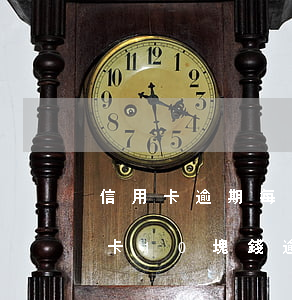 信用卡逾期每月還進(jìn)去十塊(信用卡10塊錢逾期一年)