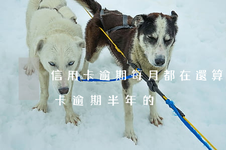 信用卡逾期每月都在還算失信嗎(有沒有信用卡逾期半年的)
