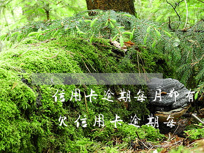 信用卡逾期每月都有還會(huì)起訴嗎(欠信用卡逾期每個(gè)月還一點(diǎn)會(huì)立案嗎)