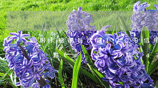 信用卡逾期每次還1000(信用卡逾期每次還一點(diǎn)點(diǎn))