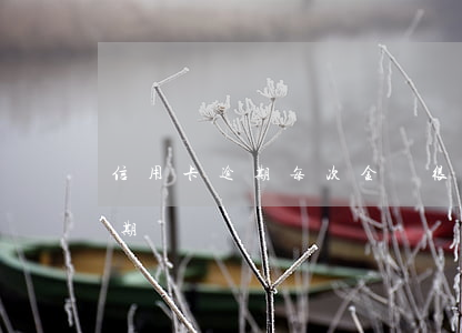 信用卡逾期每次金額很小(信用卡一次小額逾期)