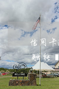 信用卡逾期比亞迪金融(信用卡逾期比亞迪金融能過嗎)