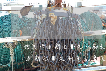 信用卡逾期比較久利息太多怎么辦-信用卡逾期比較久利息太多怎么辦呢