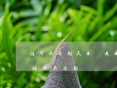信用卡逾期民事則是是什么(什么情況下屬于信用卡逾期)
