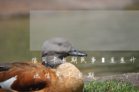 信用卡逾期民事則是是什么意思-民事訴訟法信用卡逾期
