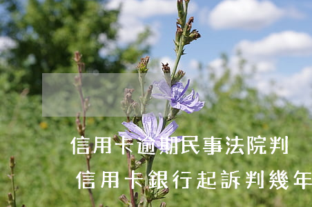 信用卡逾期民事法院判決的履行期(逾期未還信用卡,銀行起訴判幾年)