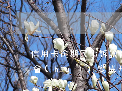 信用卡逾期民事訴訟(信用卡逾期民事訴訟后會(huì)變成刑事訴訟嗎)