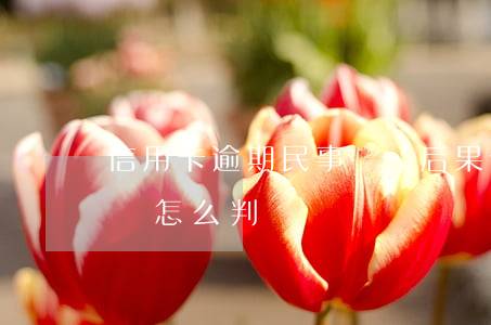 信用卡逾期民事訴訟后果(信用卡逾期被起訴會怎么判)
