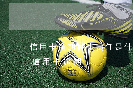 信用卡逾期民事責任是什么(什么情況下屬于信用卡逾期)