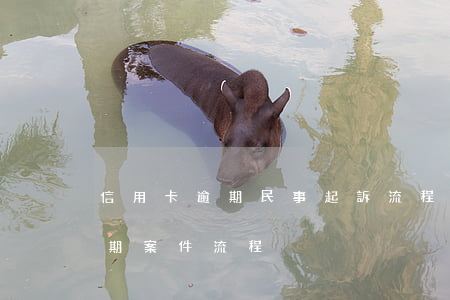 信用卡逾期民事起訴流程(法院受理信用卡逾期案件流程)