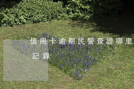 信用卡逾期民警查證(哪里可以查信用卡逾期記錄)