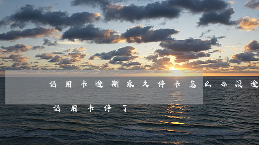 信用卡逾期永久停卡怎么办(没逾期银行把我信用卡停了)