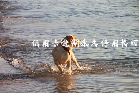 信用卡逾期永久停用(长时间信用卡逾期)