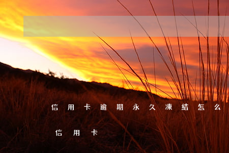 信用卡逾期永久凍結怎么辦-逾期多久凍結信用卡