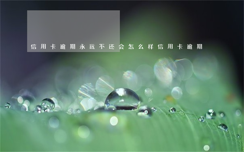信用卡逾期永远不还会怎么样(信用卡逾期)
