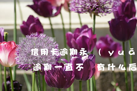 信用卡逾期永遠(yuǎn)還不完(信用卡逾期一直不還有什么后果)