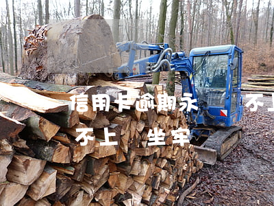 信用卡逾期永遠還不上-信用卡逾期永遠還不上會坐牢嗎