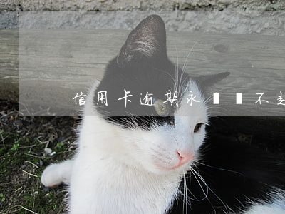 信用卡逾期永遠還不起坐牢